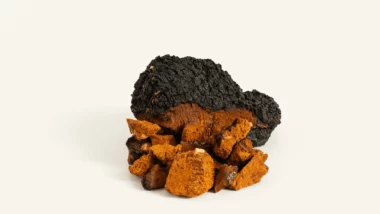 One big and several smaller pieces of Chaga mushroom on beige background with shadow size optimised