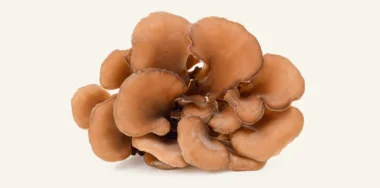 Full grown maitake mushroom fruiting body on beige background and shadow scaled