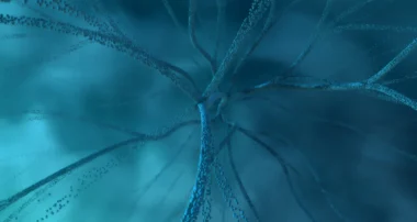 Neuroplastizität im Gehirn, 3D Illustration in blauer Farbe