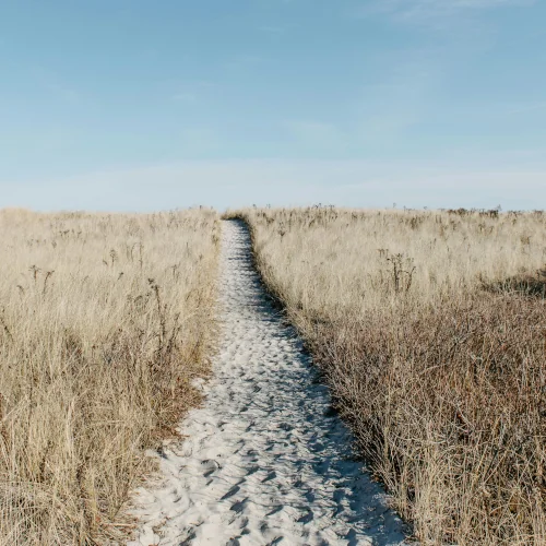 Sandweg zwischen Dühnen, blauer Himmel